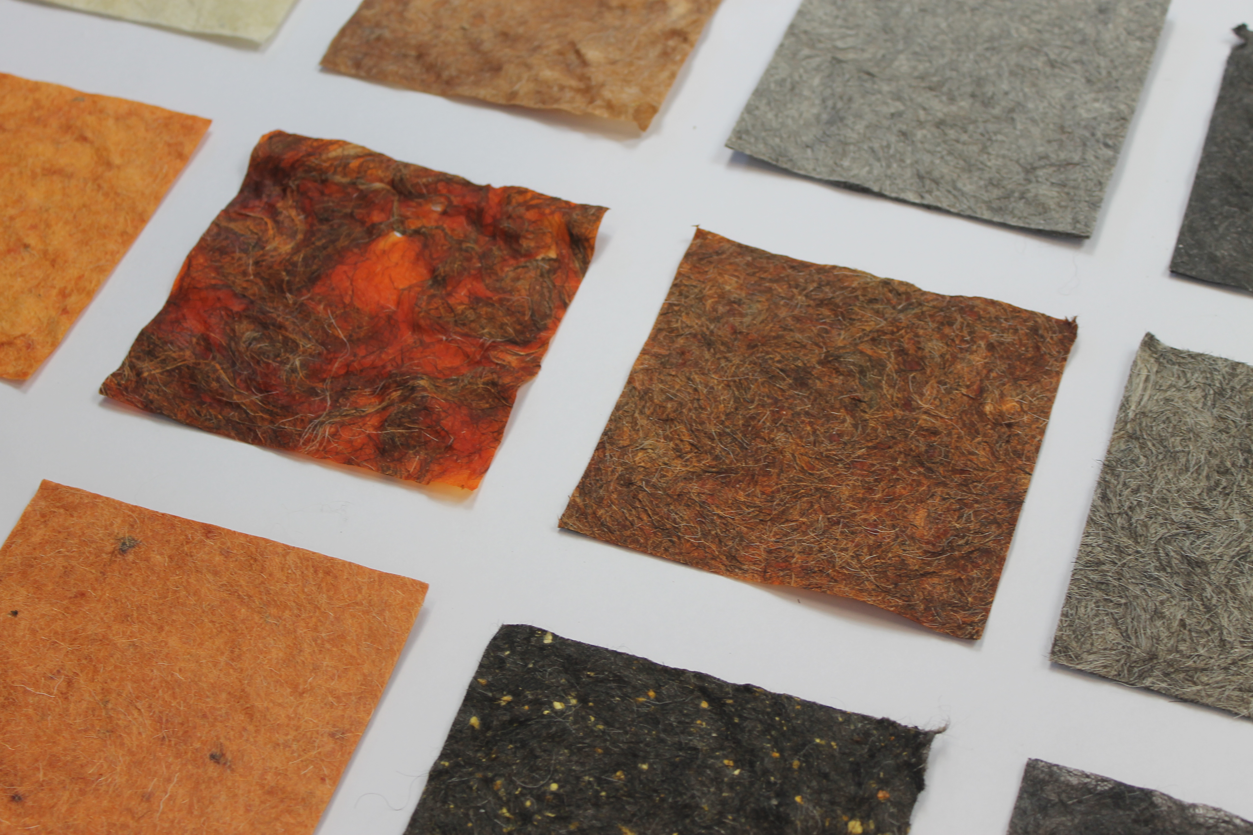Biocomposites Fabrication